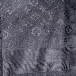 Louis Vuitton Accessories - Louis Vuitton Paris scarf Louis Vuitton Accessories - Louis Vuitton Paris scarf